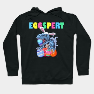 Eggspert Funny Easter Dinosaur Bunny Egg Hunt Kids Easter Costume Hoodie